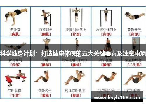 科学健身计划：打造健康体魄的五大关键要素及注意事项